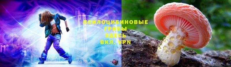 Псилоцибиновые грибы Magic Shrooms Воскресенск